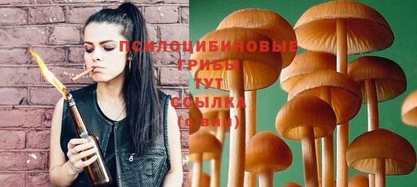 трава Новокубанск