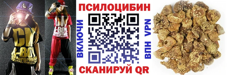 купить закладку  Южноуральск  площадка клад  Галлюциногенные грибы прущие грибы 