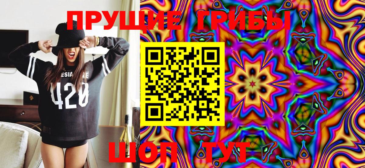 Южноуральск  Псилоцибиновые грибы MAGIC MUSHROOMS  Галлюциногенные грибы Psilocybe  наркотики  Вход с VPN 