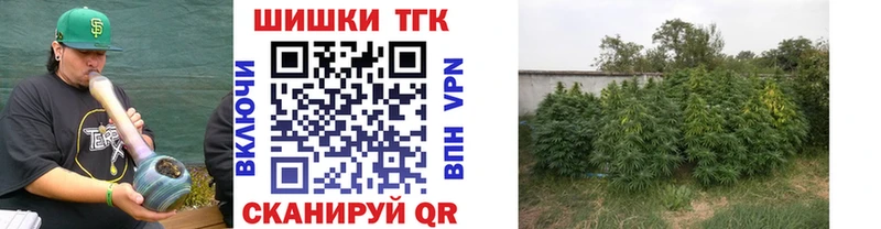 ссылка на мегу как войти  купить наркоту  Южноуральск  Канабис LSD WEED 